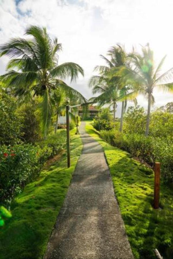 Casa Marlin Panzió Bocas Town Kültér fotó